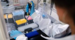 A researcher in a laboratory uses genome sequencing equipment