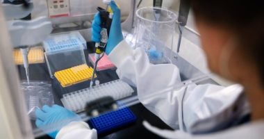 A researcher in a laboratory uses genome sequencing equipment