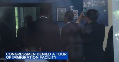U.S. Reps. Raja Krishnamoorthi, Jonathan Jackson denied tour of South Loop immigration check-in facility; CPD called