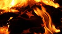 Venezuelan national seen burning stolen American flag in middle of Clearwater road: police