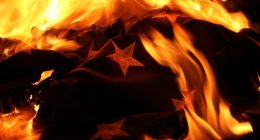 Venezuelan national seen burning stolen American flag in middle of Clearwater road: police