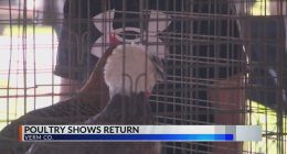 Vermilion Co. poultry show takes place amid uncertainty