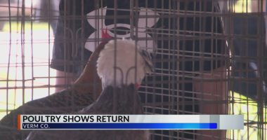 Vermilion Co. poultry show takes place amid uncertainty