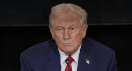 Voters say Trump would have won the election without Elon Musk