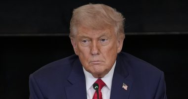 Voters say Trump would have won the election without Elon Musk