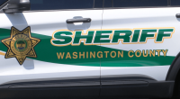 WCSO: Man arrested after firing gun at delivery driver