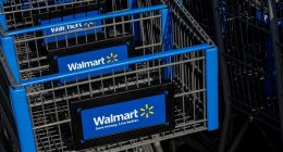 Walmart shopping carts.