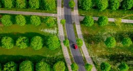 Want to plant trees to offset fossil fuels? You'd need all of North and Central America, study finds