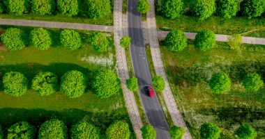 Want to plant trees to offset fossil fuels? You'd need all of North and Central America, study finds