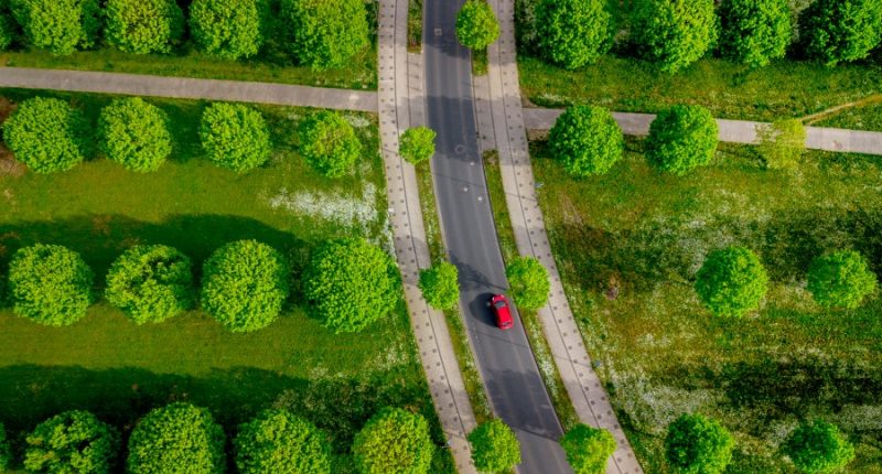 Want to plant trees to offset fossil fuels? You'd need all of North and Central America, study finds