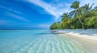 The Maldives