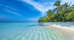The Maldives