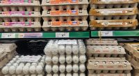 Several shelves of egg cartons in a retail store.