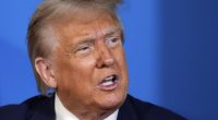 Watch: NATO Presser Falls Silent During Touching Moment Between Trump and Foreign Reporter