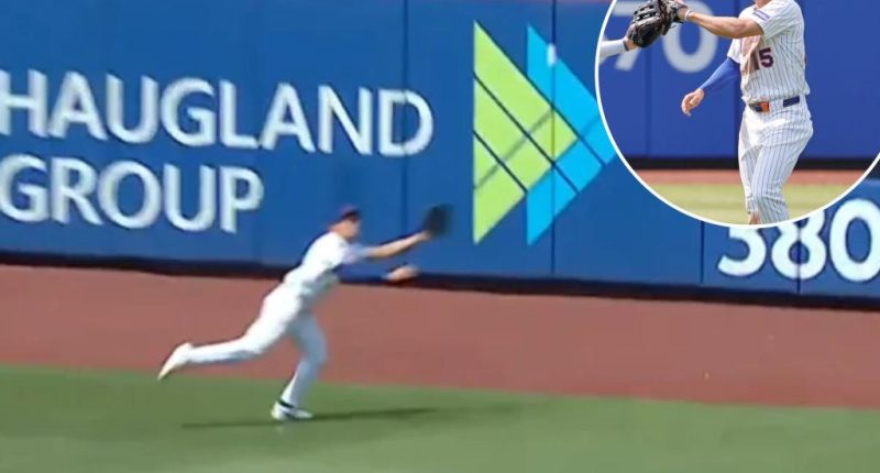 Why Tyrone Taylor's latest defensive gem mattered even more for Mets
