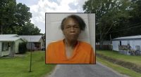Woman accused granddaughter of stealing her meth: Police