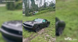 Woman charged with attempted murder after using pickup truck 'as a weapon'