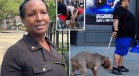 arrest warrant issued for dog owner