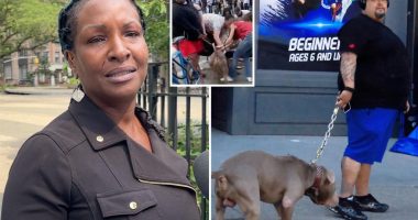 arrest warrant issued for dog owner