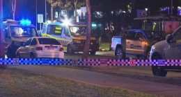 'High-level violence': Man stabbed to death outside Sydney home