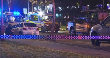 'High-level violence': Man stabbed to death outside Sydney home