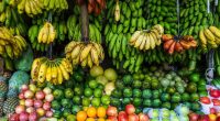 'Superfood' 'reverses' high blood pressure and can help 'wean off drugs' says expert