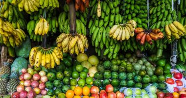 'Superfood' 'reverses' high blood pressure and can help 'wean off drugs' says expert