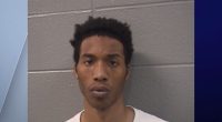 7-year-old brother tried to save Illinois sisters with CPR; stabbing suspect detained