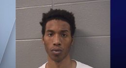 7-year-old brother tried to save Illinois sisters with CPR; stabbing suspect detained