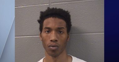 7-year-old brother tried to save Illinois sisters with CPR; stabbing suspect detained