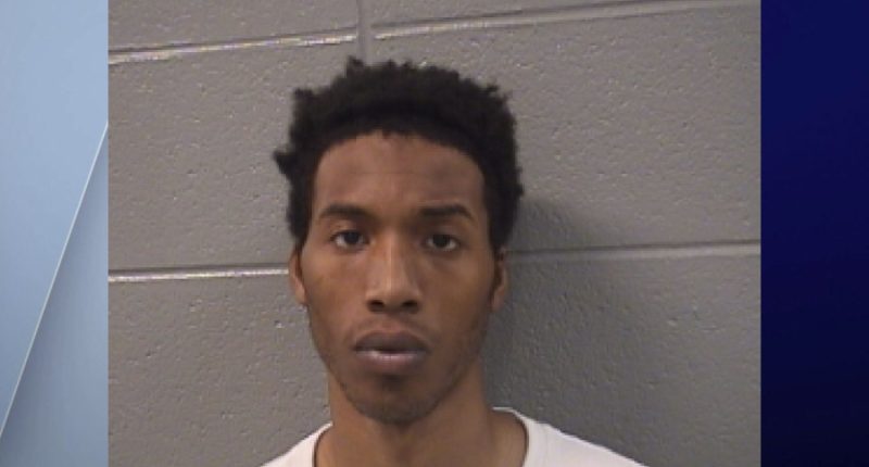 7-year-old brother tried to save Illinois sisters with CPR; stabbing suspect detained