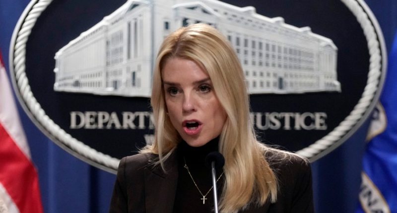 AG Bondi: Feds taking sleeper cells threat 'very seriously'