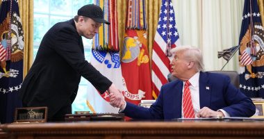 ANDREW NEIL: Like a clown running into a minefield, Musk threw caution to the wind, but he's right - Trump's 'big beautiful bill' IS a 'disgusting abomination'