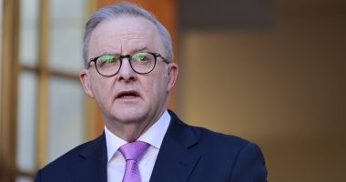 Albanese faces backlash for 'tone-deaf' action upon Canberra return