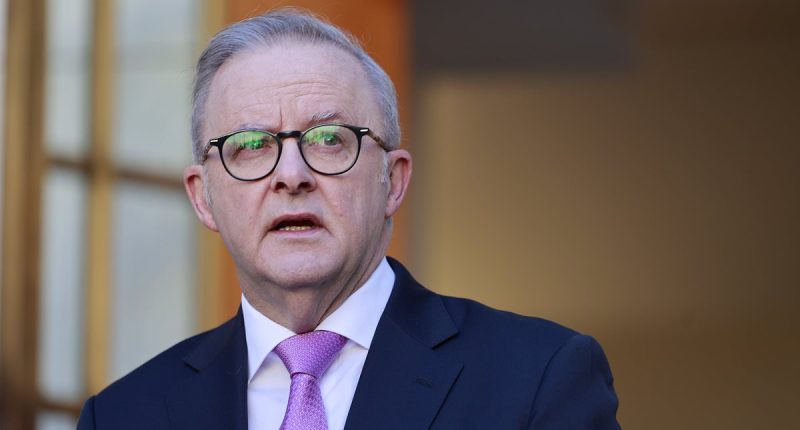 Albanese faces backlash for 'tone-deaf' action upon Canberra return