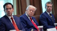 All the ways that Trump blocked Elon Musk's agenda and Cabinet picks despite spending MAGA millions