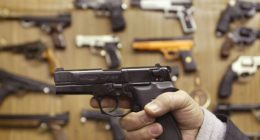 Alleged CO Terrorist Was Denied Gun Purchase Over Non-Citizen Status