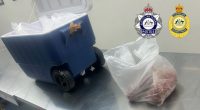 Alleged drug trafficker charged after sending meth in mince to Christmas Island