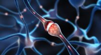 Artificial intelligence offers new hope in unlocking complex data for MND treatment breakt