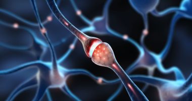 Artificial intelligence offers new hope in unlocking complex data for MND treatment breakt