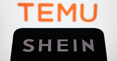 As Temu, Shein pivot to Europe, they again meet regulatory scrutiny