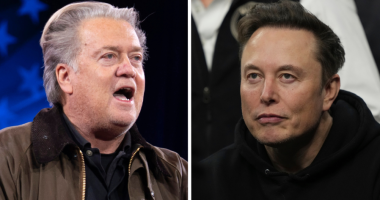 Bannon calls for special counsel probe of Musk