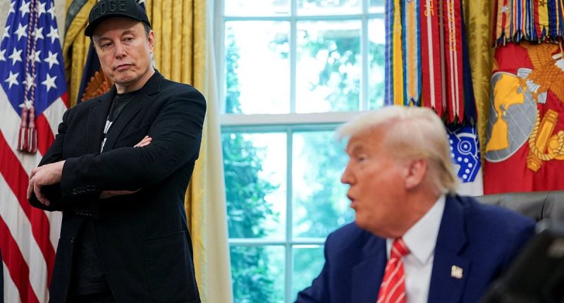 Billions wiped from Tesla as share prices plummet after Elon Musk explosively links Trump to Epstein files