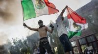 Binder: How Trump Can Win the Illegal Immigration Battle Against California