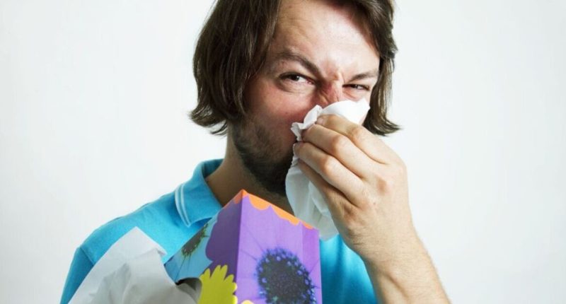 Brits offered crucial “two-stage” remedy to help beat hay fever