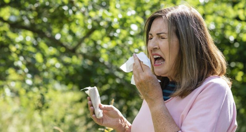 Brits urged to eat these foods to 'soothe' hayfever