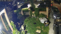 CCTV released after 'violent' home invasion in Sydney's west