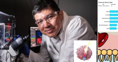 Cancer breakthrough as doctors unveil way to zap tumors into oblivion without chemo