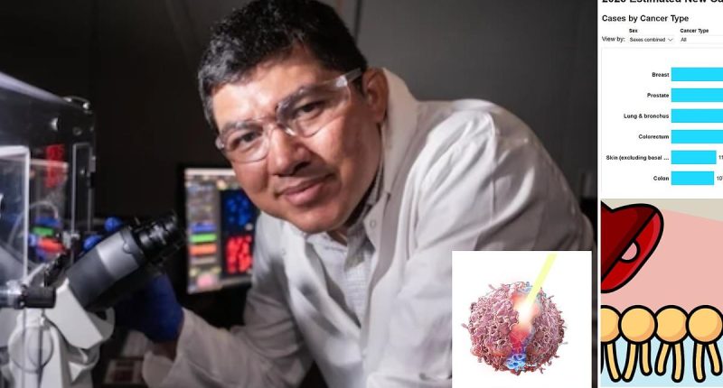 Cancer breakthrough as doctors unveil way to zap tumors into oblivion without chemo
