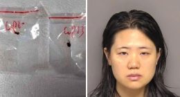 Chinese nationals charged with smuggling 'dangerous biological pathogen' into US